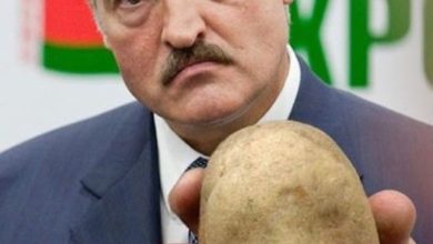 Photo of Почему в Беларуси на прилавках нет белорусского картофеля
