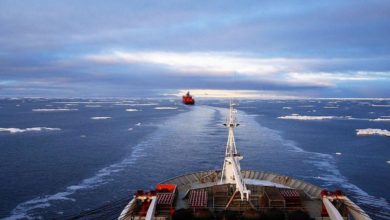 Photo of Объем перевозок по Северному морскому пути с начала года увеличился на 4,5%