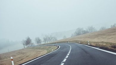 Photo of В Башкирии планируют построить новый завод по производству дорожных красок