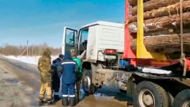 Photo of Правительство обяжет бизнес за 3 года компенсировать вырубку леса