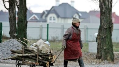 Photo of Чтобы победить бедность, в Госдуме хотят разрешить собирать валежник пилами